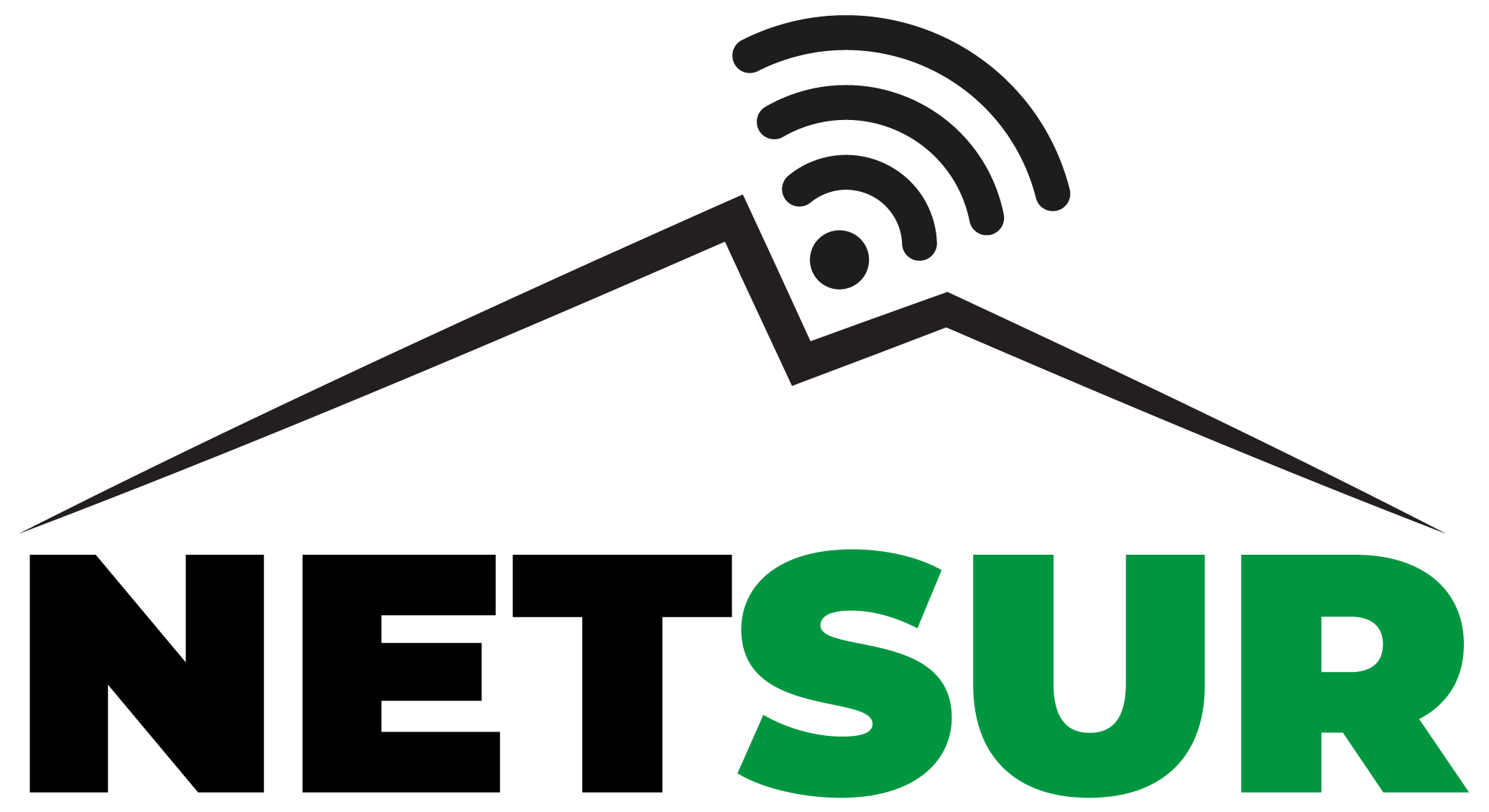 Logo NetSur Fibra Optica